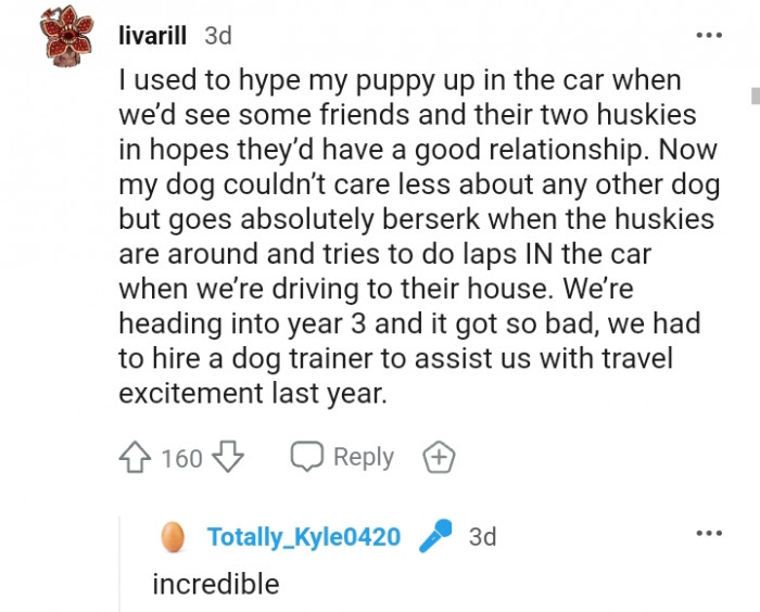 8. Assisting us with traveling excitement