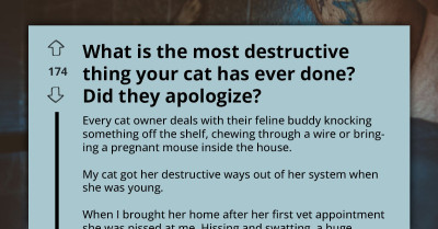 Your Day Will Be Awesome With These Forty Laughably Relatable Stories of Cats Being Destructive