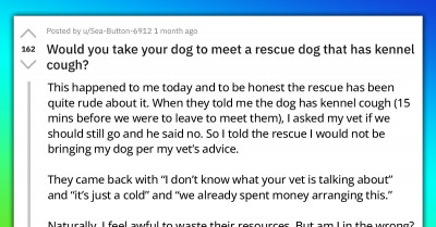 Discussion Ensues As Redditor Asks If It’s Okay To Take A Dog To Go Meet A Rescue Dog That Has Kennel Cough