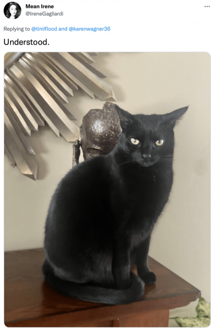 5. The face of feisty: