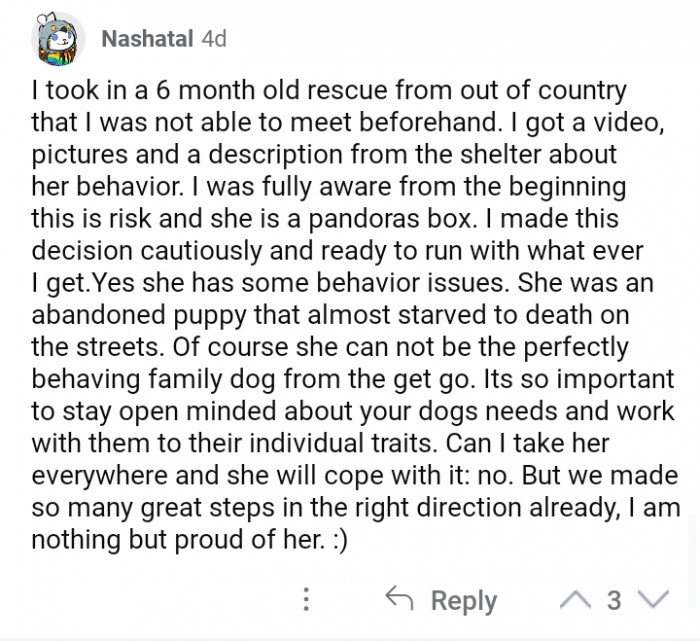 #1 This is how it should be.