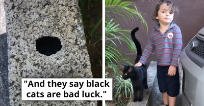 Unlikely Pawed Samaritan Helps Distressed Lady Retrieve Her Car Keys From A Hole
