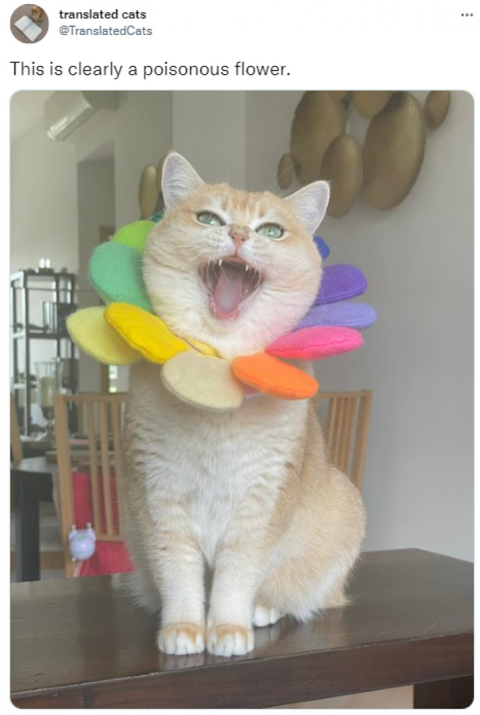 3. But definitely the prettiest one