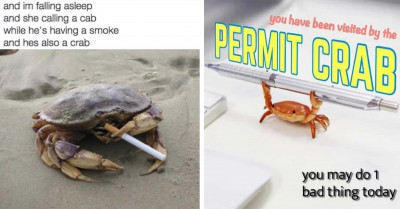 18 Crab Memes To Enjoy Before We, Humans, Undergo Crabification