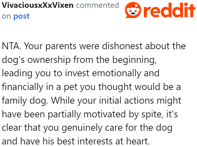 The OP only did what's best for the dog, so the sister can't accuse her of stealing it.