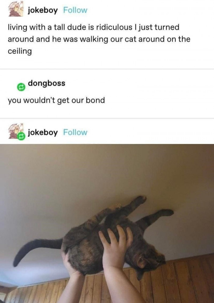 3. When you are living with a tall dude