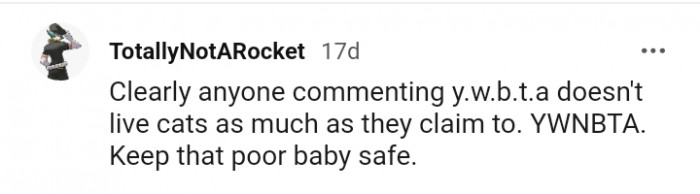This Redditor is telling the OP to go ahead and keep the cat safe