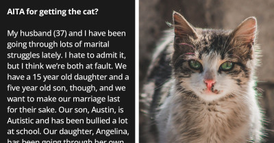 Woman Destroys Her Already Rocky Marriage By Bringing A Cat Home Without Her Husband's Permission