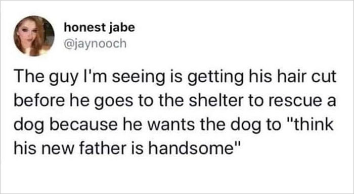4. Hey doggo, you've got a handsome dad