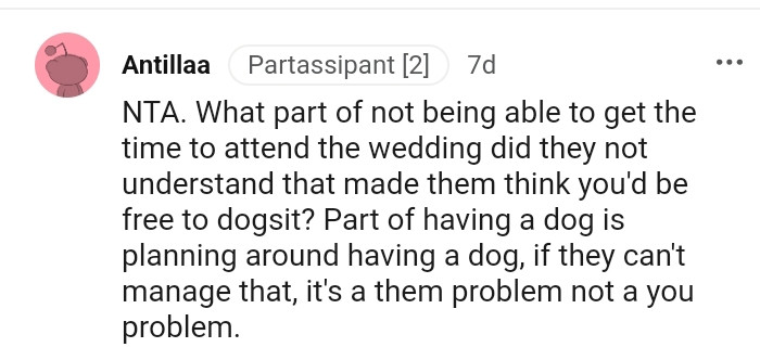 13. Not just having a dog, you need to plan around it too