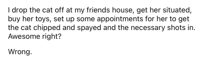 So, the OP found the cat a new home with one of her friends.