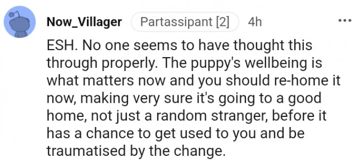 3. The Pup's Wellbeing is What Matters