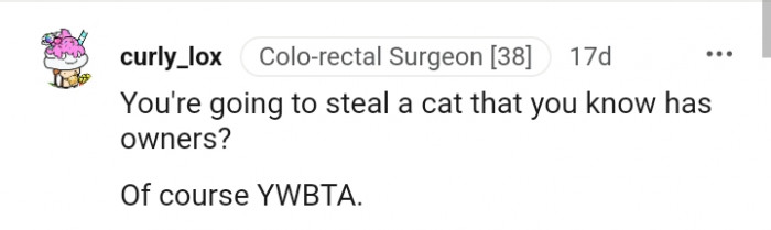 You can't steal a cat that you know has owners