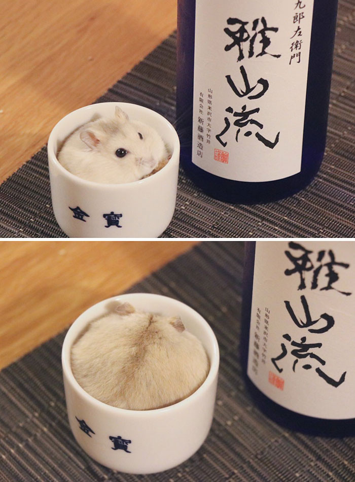 49. He Found a New Eating Spot