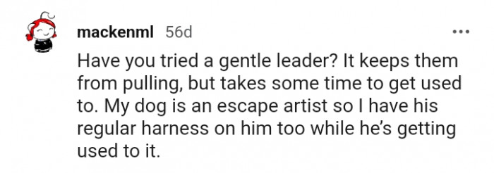 5. He's getting used to it