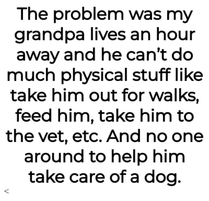 Unfortunately, the grandfather can't properly take care of the dog due to old age.