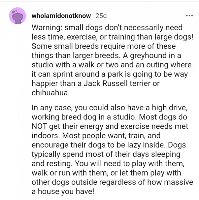 You will need to play, walk, or run with them