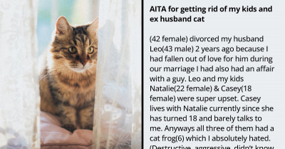 Redditor Threatens to Take the Family’s Cat to a Shelter After Divorce