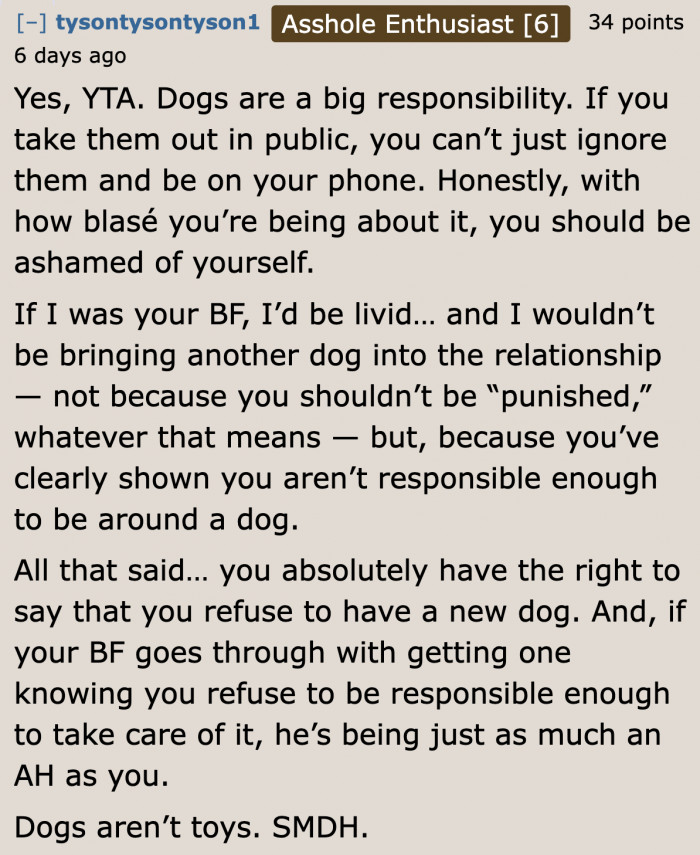 She should have directed her full attention at the dog.