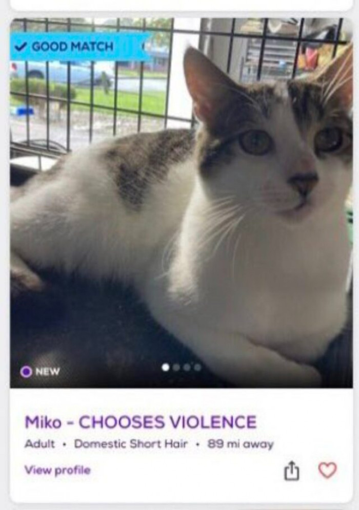 11. And violence it is