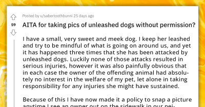 Redditor Gets Called Out By Neighbor For Taking Unpermitted Pictures Of Their Neighborhood's Unleashed Dogs
