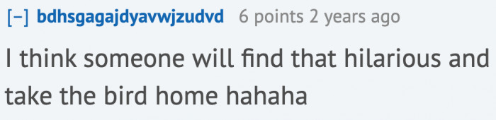 We're pretty sure people will find it entertaining.