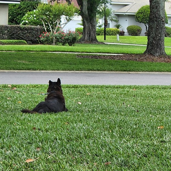 3. Death is inevitable