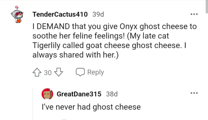 Giving the cat a ghost cheese