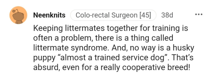 There Is a Thing Called Littermate Syndrome