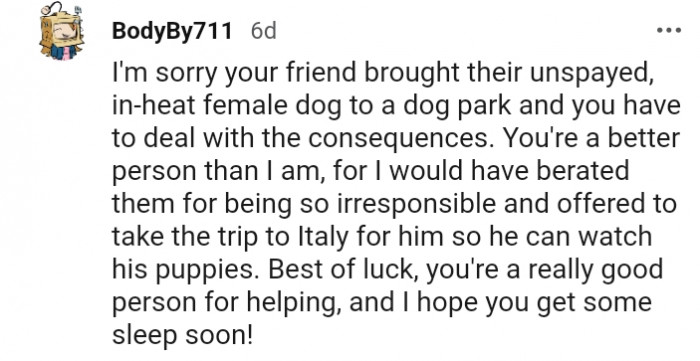 12. You are a better person than I am