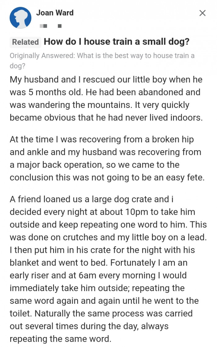 12. How to train a small dog: