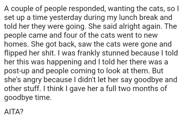 OP's girlfriend returned, saw the cats were gone, and became upset, which frankly stunned the OP.