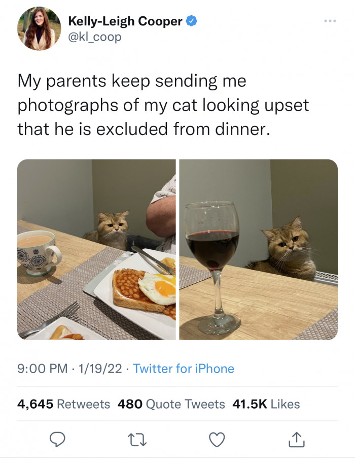 12. He doesn’t look happy about it at all 😂😂