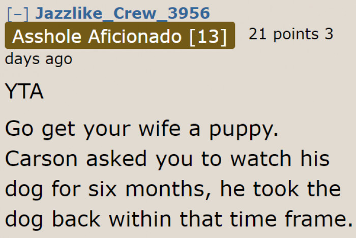 Getting a Puppy is the Right Thing to Do.