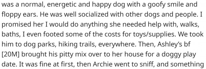 OP Promised to Help Out with the Dog, and She Did. Archie Was Super Nice in the Beginning. But Things Changed...
