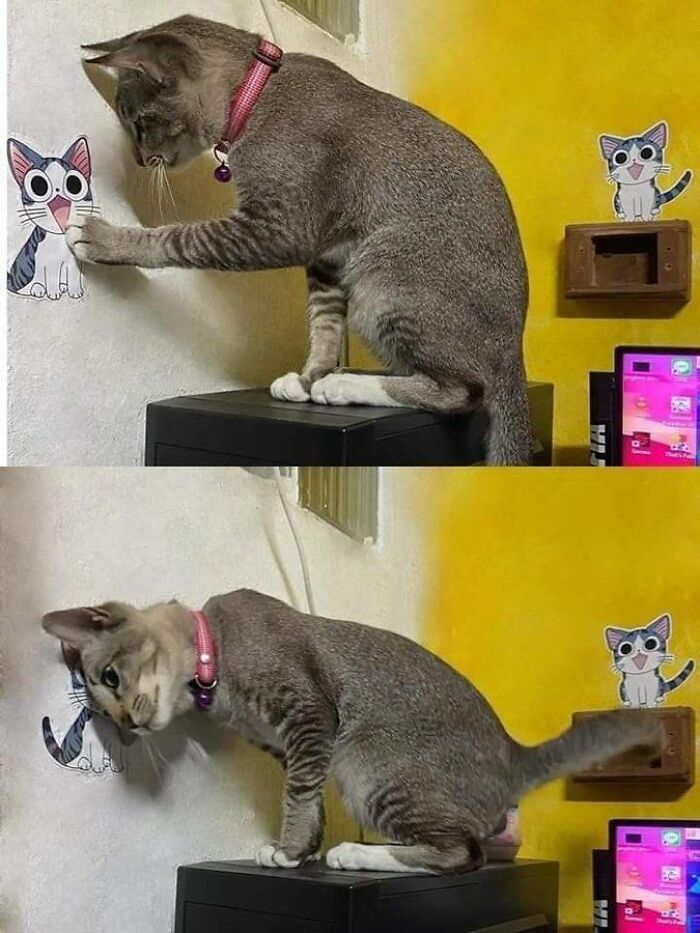 22. When Your Only Friend Is Two-Dimensional but Never Leaves You on Read