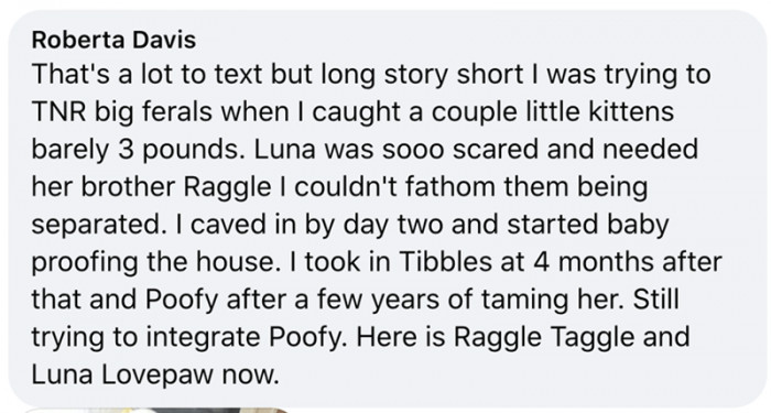 3. Just to cut the whole long story short