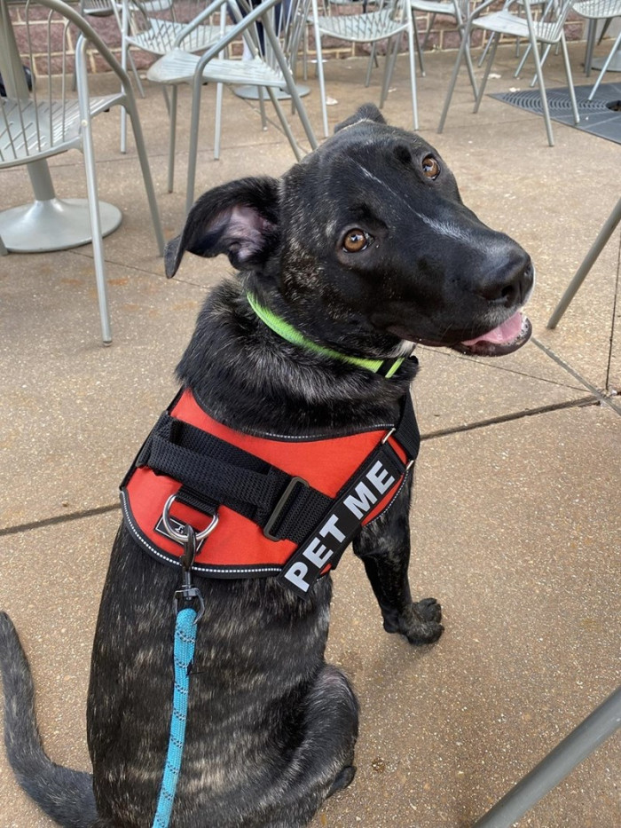 How could anyone be angry at this face?