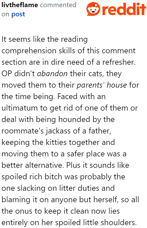 A fellow Redditor came to save the day and pointed out that what the OP did is indeed malicious compliance.