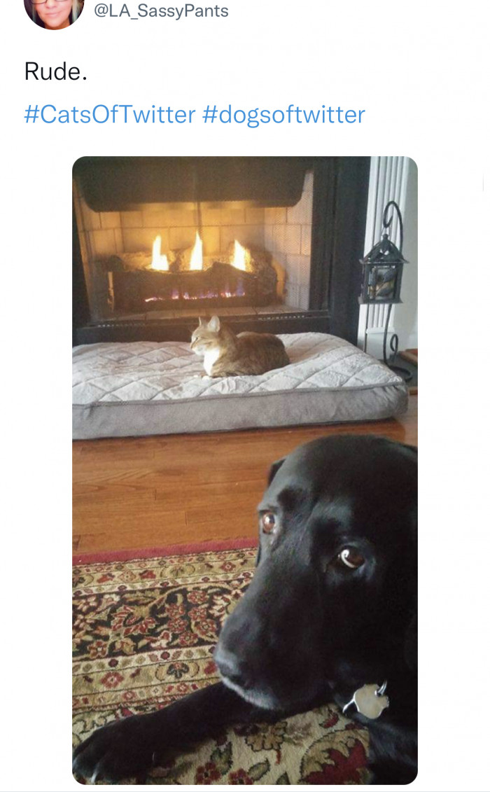 16. He knows he can’t do anything about it.