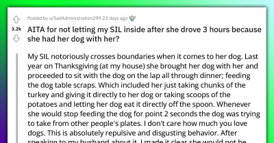 Woman Asks If She's Wrong For Refusing To Let Her SIL Inside Her House With Her Dog After She Drove For Three Hours