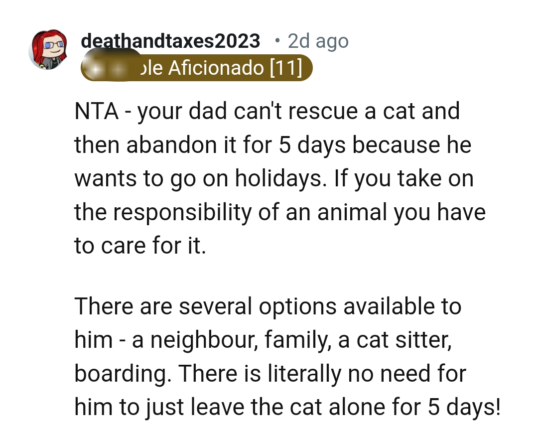 We've Gathered Some of the Most Upvoted Comments from Other Redditors for You to Read Through Below