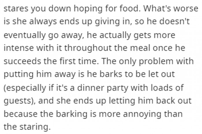 It's better for him to stare than to bark all night