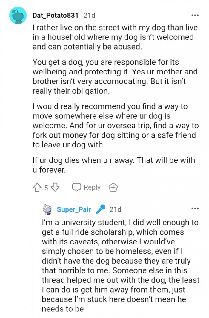 It is not really their obligation to take care of your dog