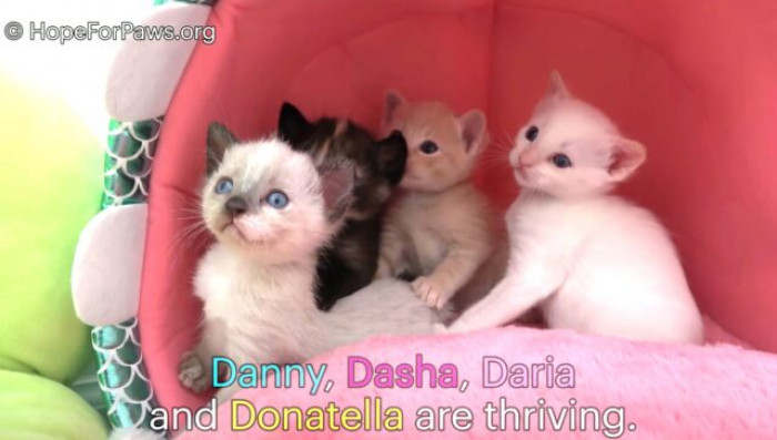 But his siblings are healthy and happy