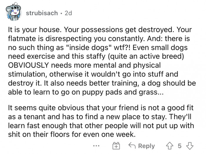 Here's how people reacted.