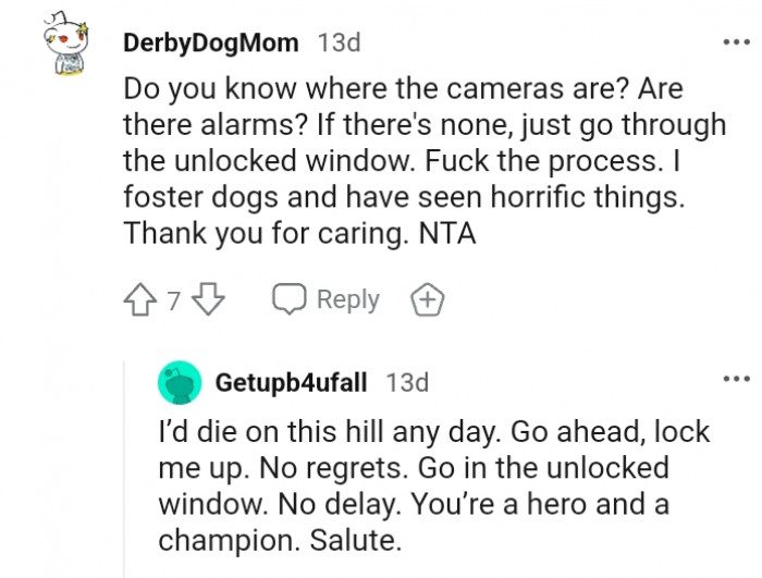 6. This Redditor fosters dogs and has seen horrific things