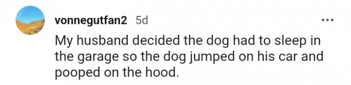 20. This dog pooped on the hood of the human's car