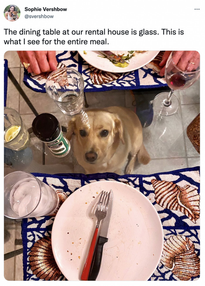 10. Those puppy dog eyes are in full effect