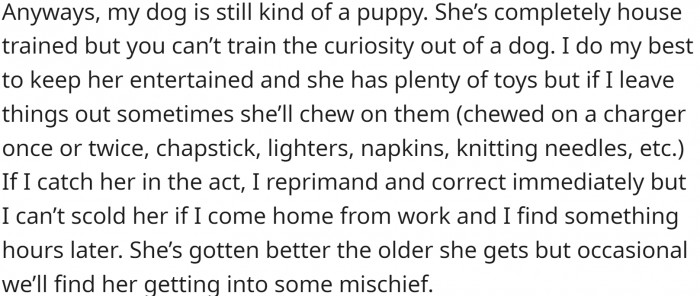 The dog is still a puppy and does.... well, puppy stuff